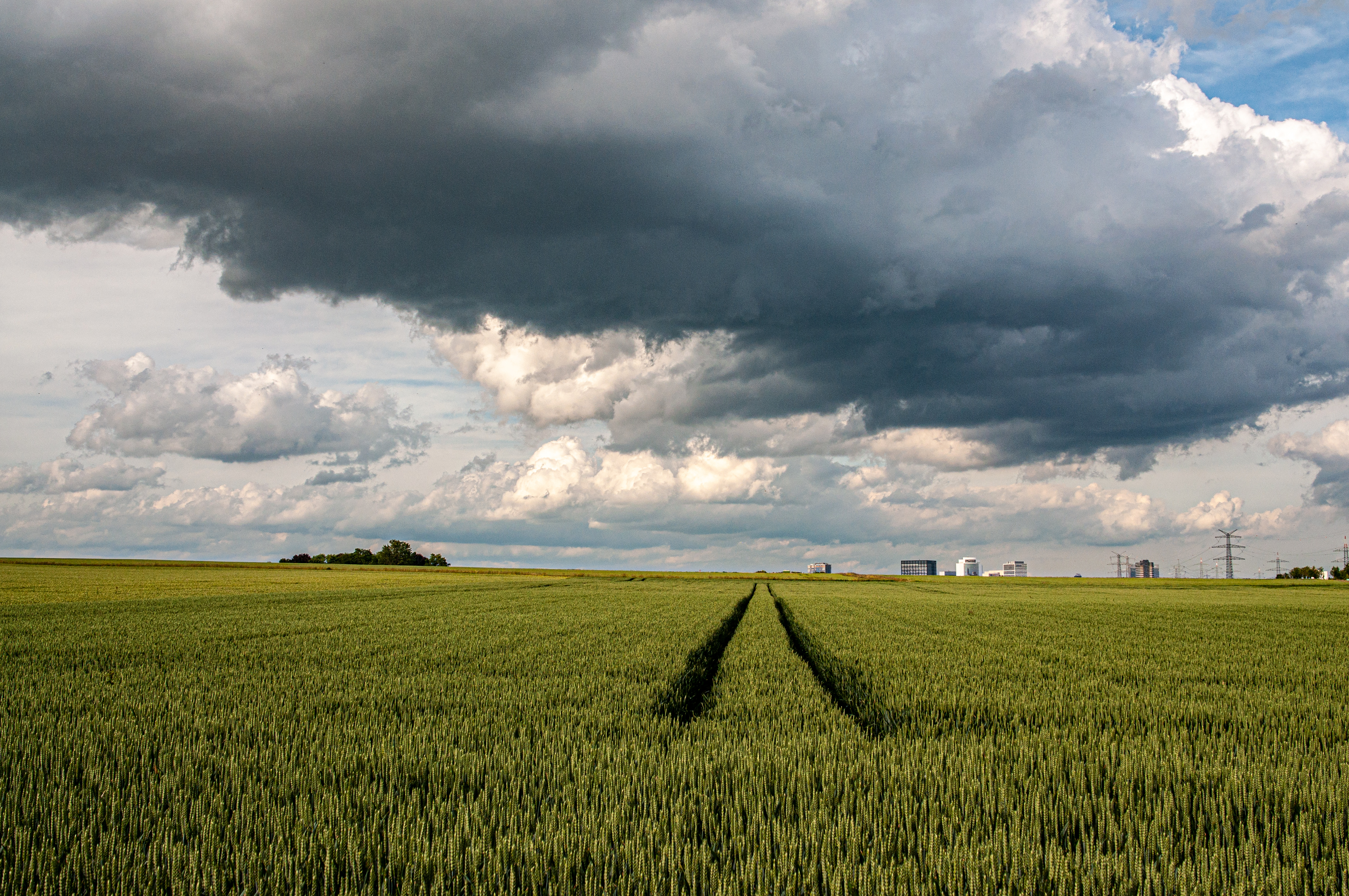 dark clouds over a field